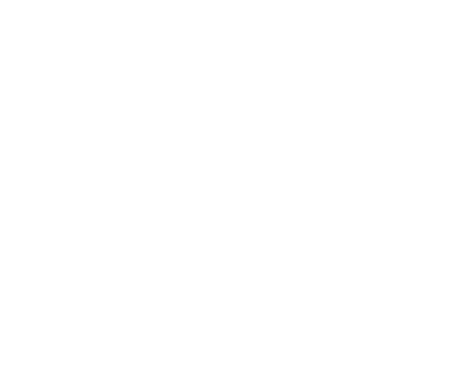 DigitalWUT
